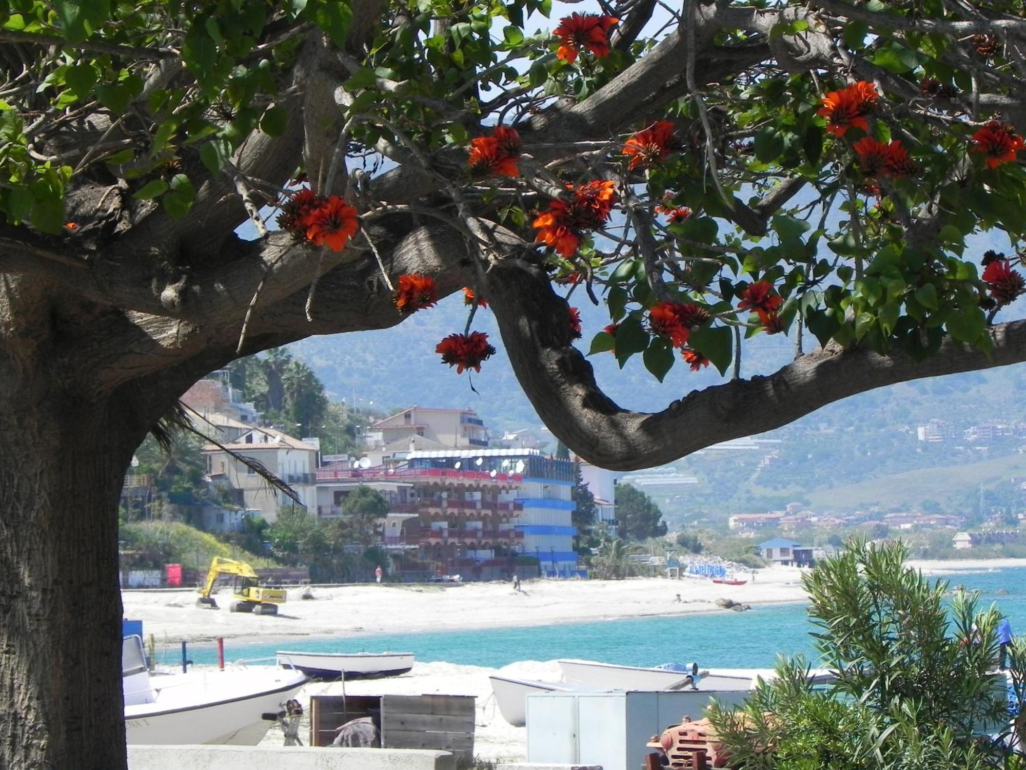 San Domenico Hotel Soverato Marina Exterior foto